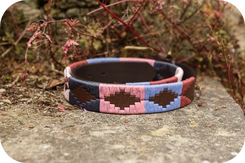 Fuerza polo belt of navy, light blue, maroon and pink colour scheme