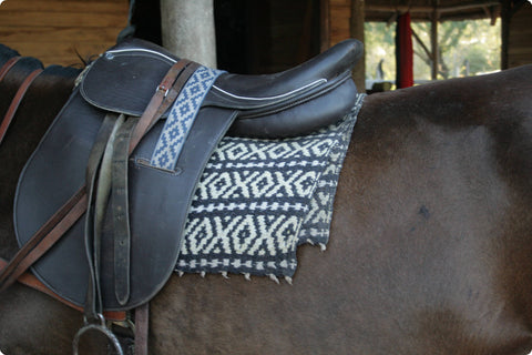 Saddle on a horse with a patterned blanket