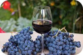 red wine with red grapes