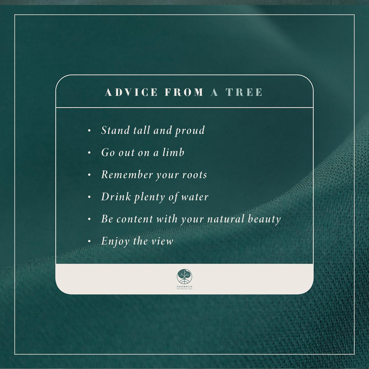 Advice from a tree