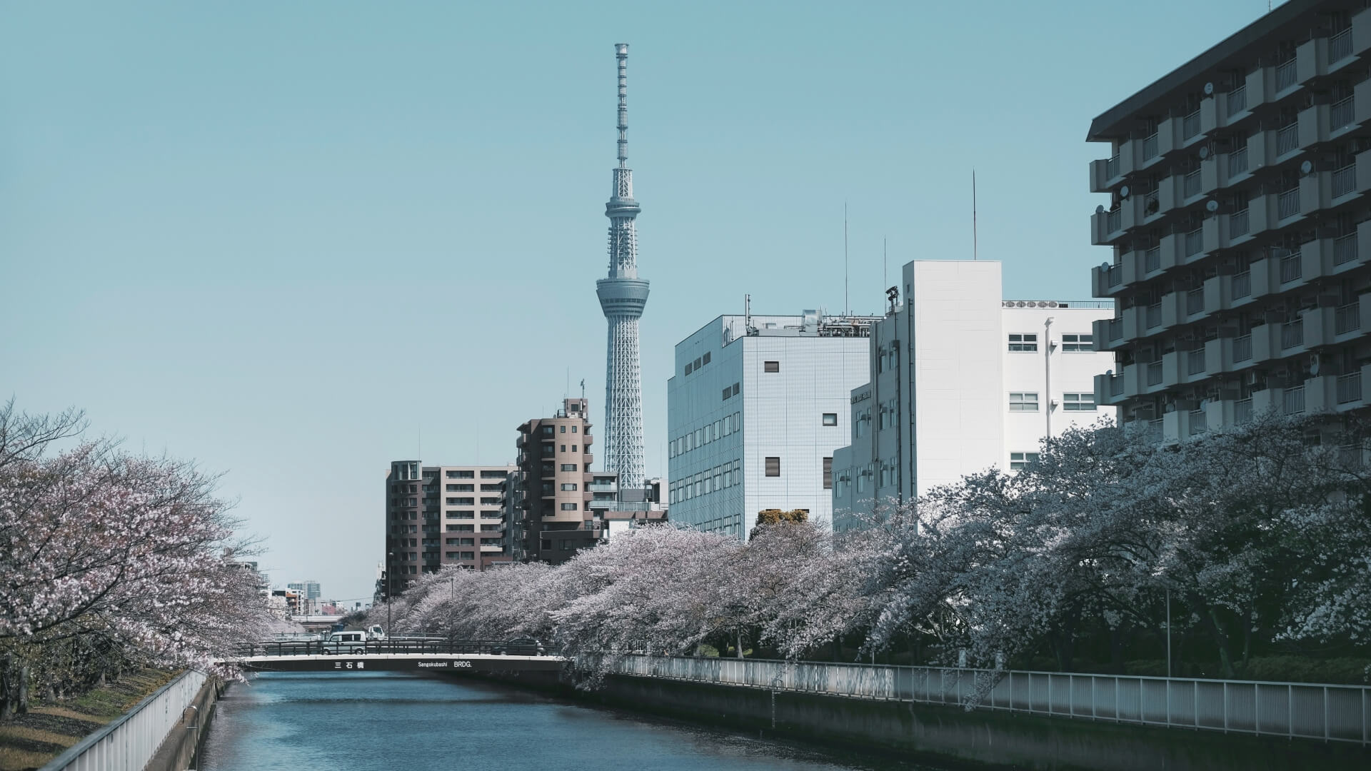 Tokyo Skytree: The Tallest Building In Japan - view of the tower from afar