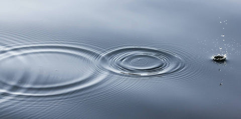 A drop of water falls on a still body of water, creating ripples.