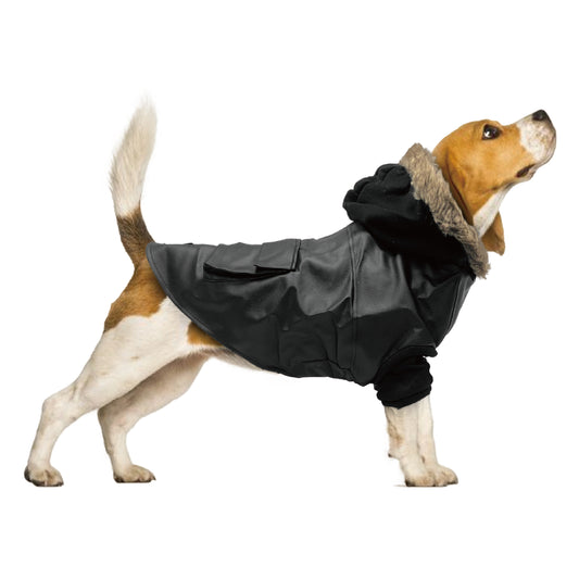 Ready Set Fetch! Football Dog Costume – Show & Tail