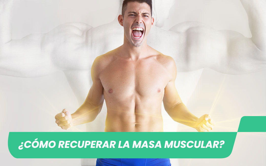 FUERTAFIT el Gimnasio Online mas fuertaco de Sergio Peinado – Fuertafit