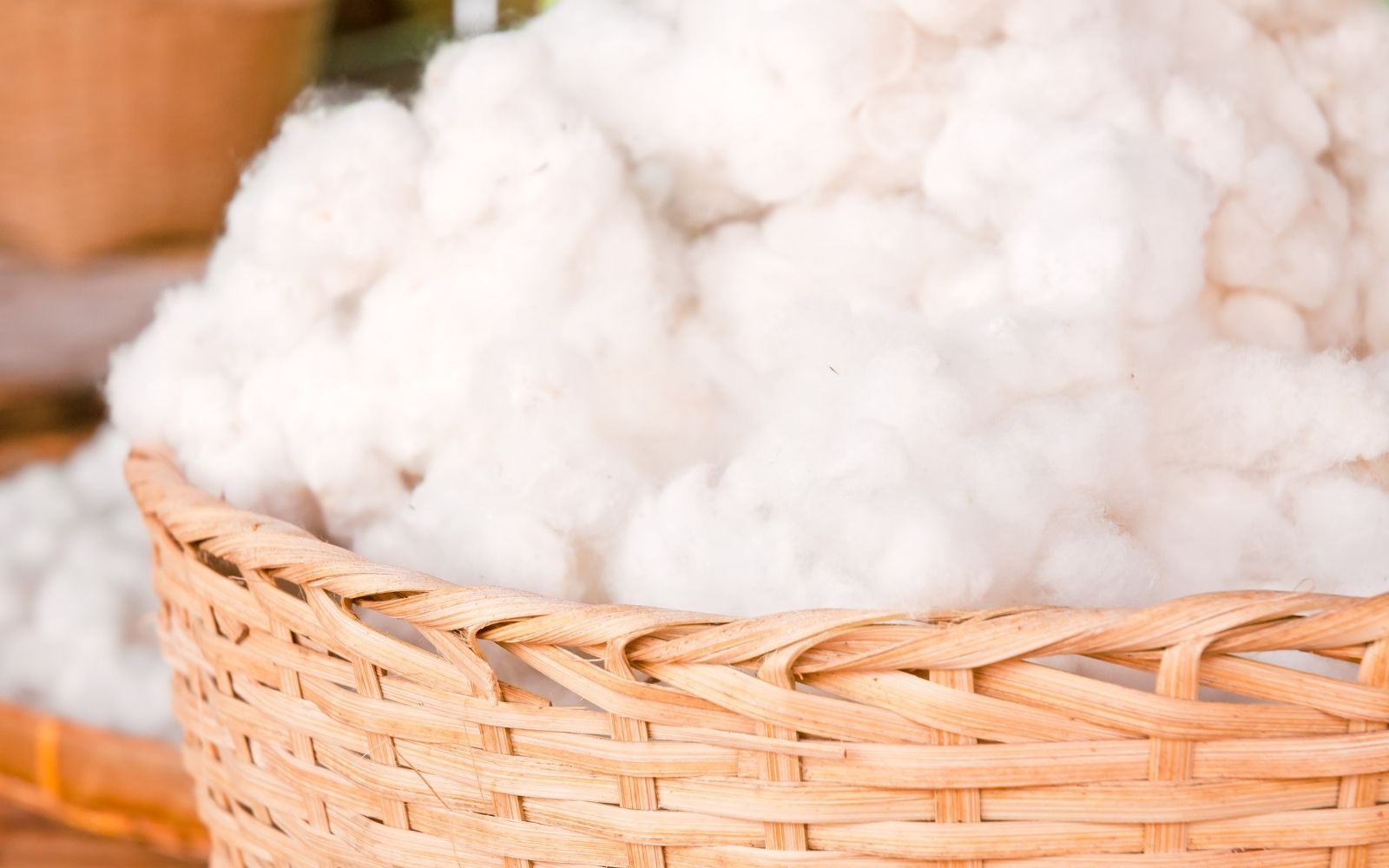 Unprocessed US grown Supima cotton