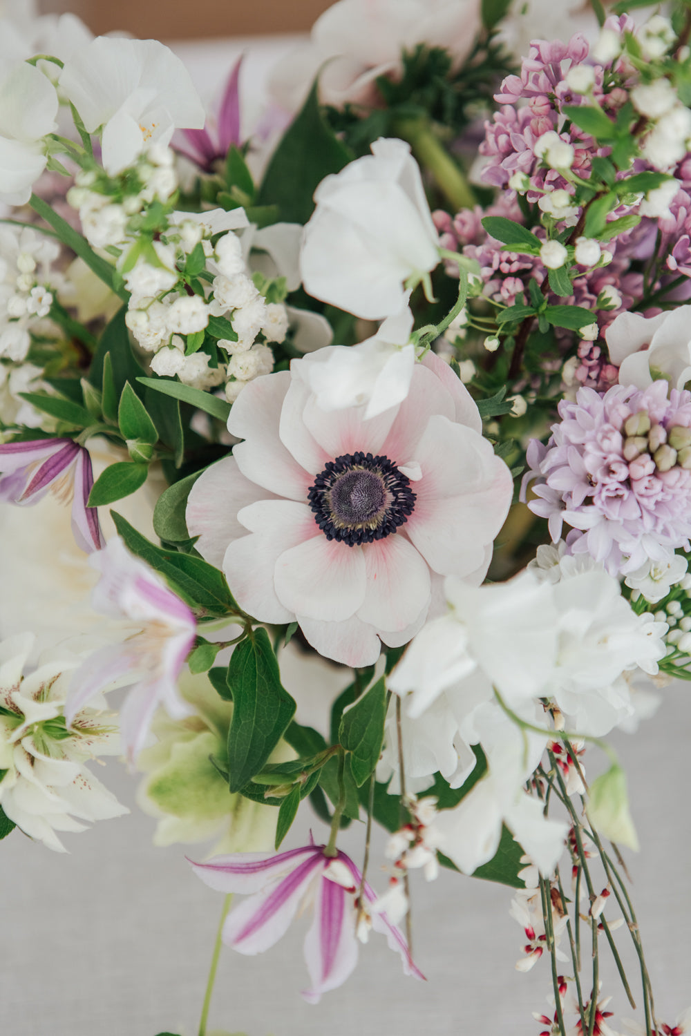 white hellebore