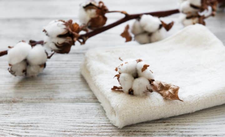 White cotton flowers on top of a white cotton fabric