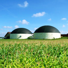 Foto einer Biogasanlage vor einem Maisfeld