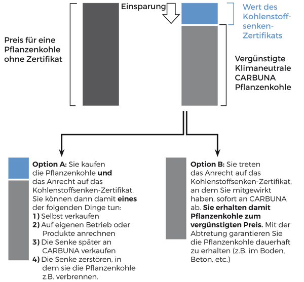 Grafische Beschreibung der beiden Optionen A und B für den Handel mit Kohlenstoff-Senken, siehe unsere AGB