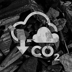 Ein Symbol für CO2-Abscheidung vor grober Pflanzenkohle (Holzkohle)