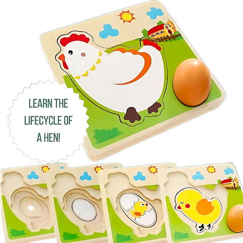 Hen Lifecycle Puzzle- Growth from Egg to Chicken