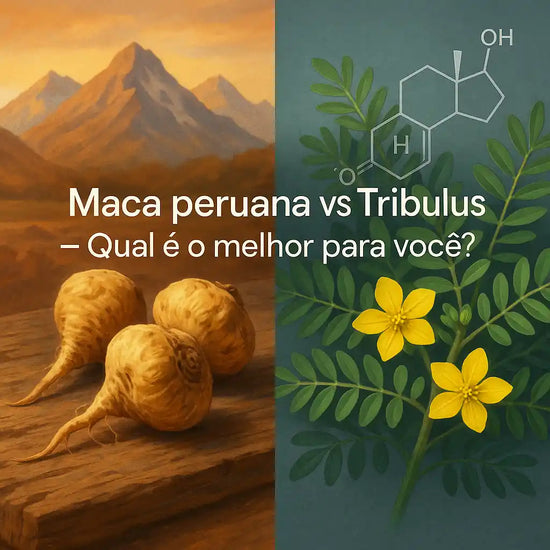 Imagem dividida ao meio. Do lado esquerdo, raízes secas de maca peruana sobre uma tábua de madeira, com montanhas dos Andes ao fundo em tons quentes de terra e pôr do sol. Do lado direito, folhas verdes e flores amarelas da planta Tribulus terrestris.