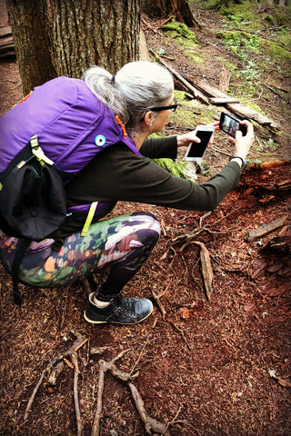 Fall Trail Leggings