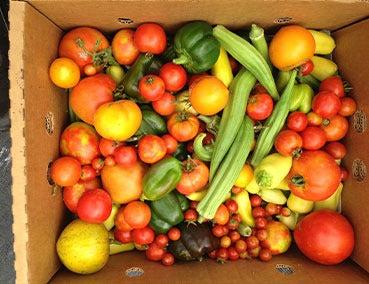 produce from a combination planter