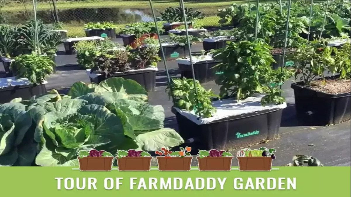 explainer video of benefits of the FarmDaddy watering container