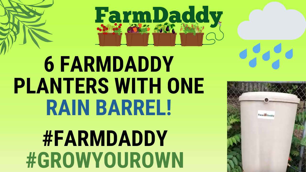 video on how to set up FarmDaddy self watering planters