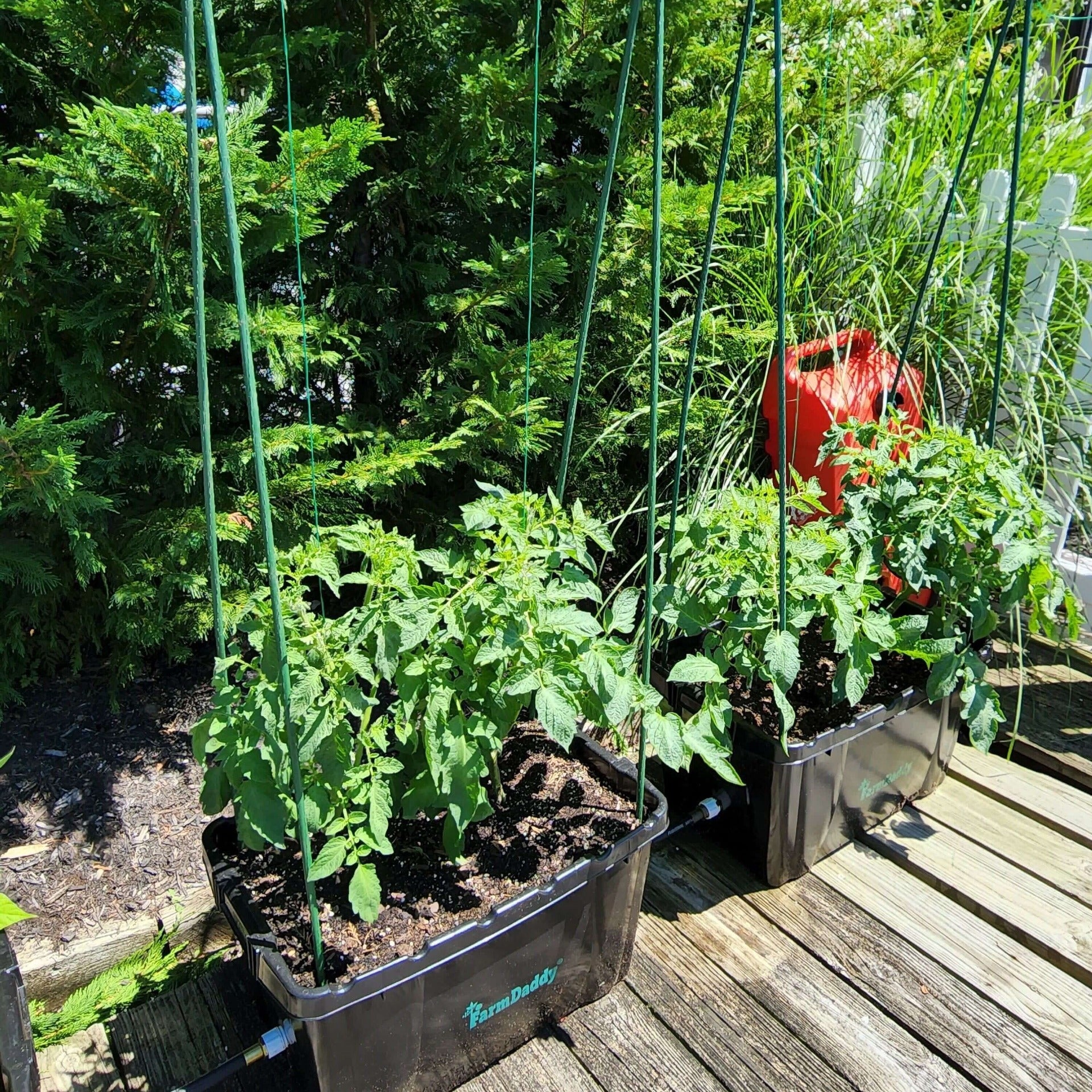 Self-watering Elevated Garden Planter