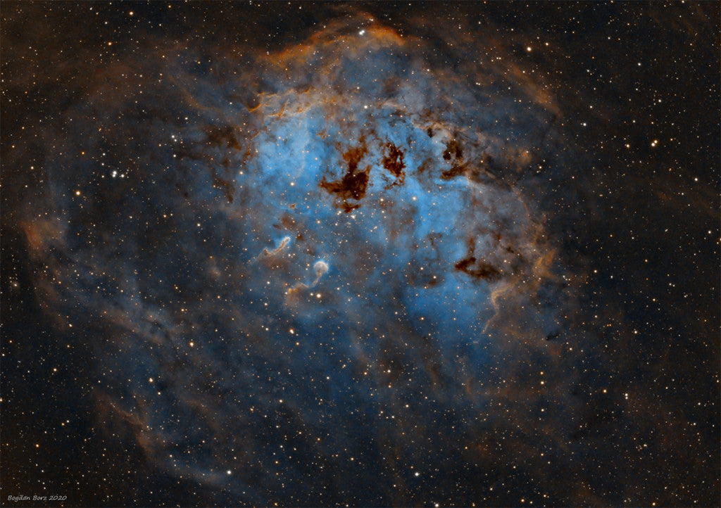 Galactic Tadpoles