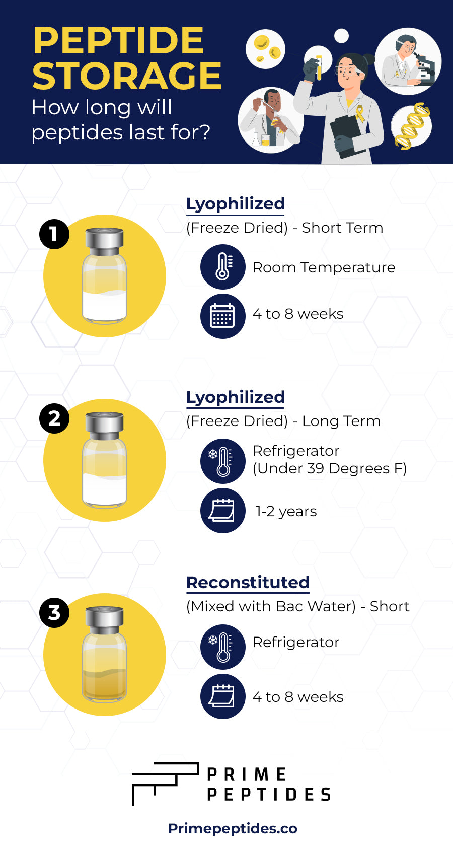How long do peptides last? Infographic