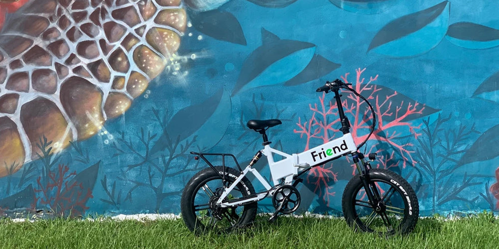 friedn foldable bike