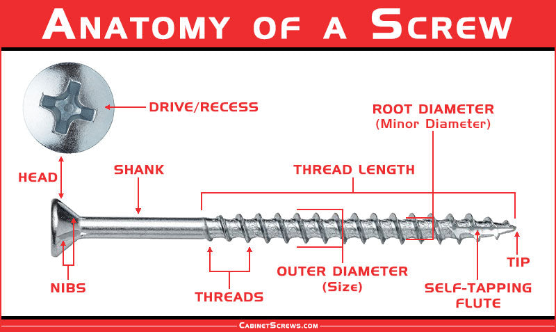 Anatomy of a Screw