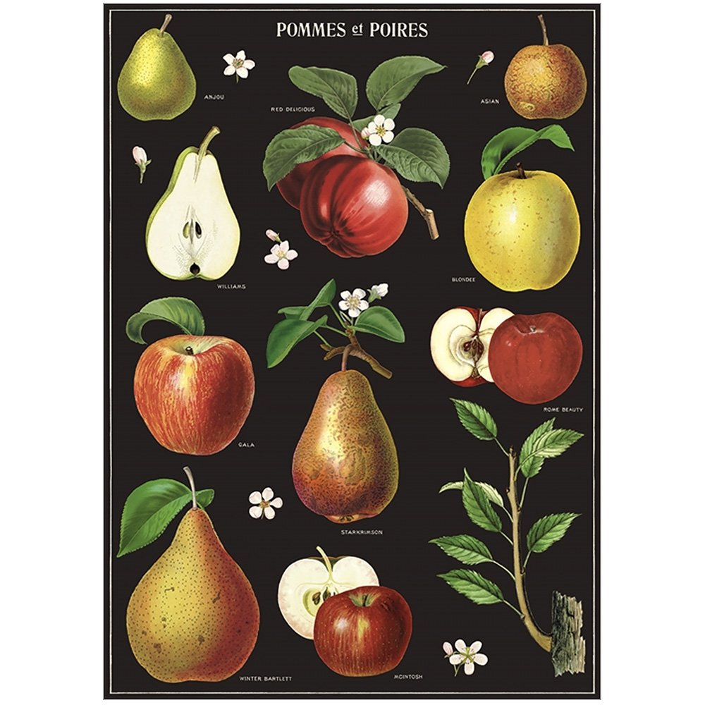 Juliste Cavallini - Apples & Pears – Putinki