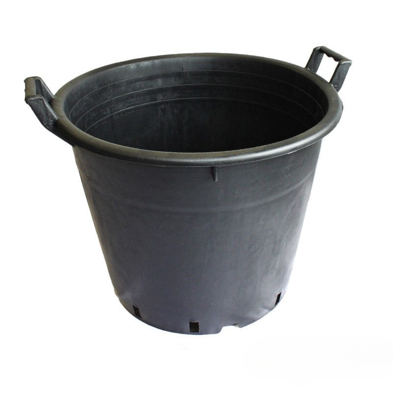 ネバディロブランコ（XL）使用鉢イメージ：外寸550×高さ420mm