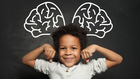 DHA for healthy brain development in toddlers
