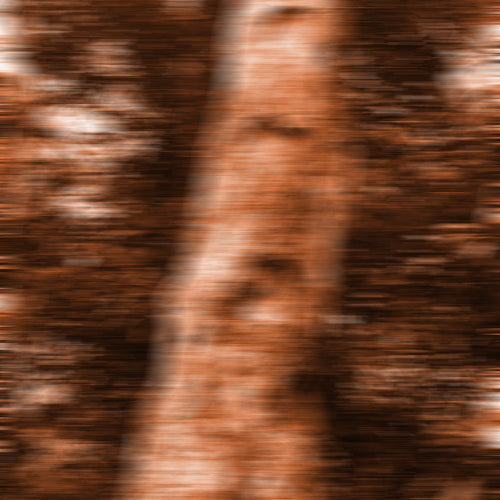 gurjun balsam tree with motion blur