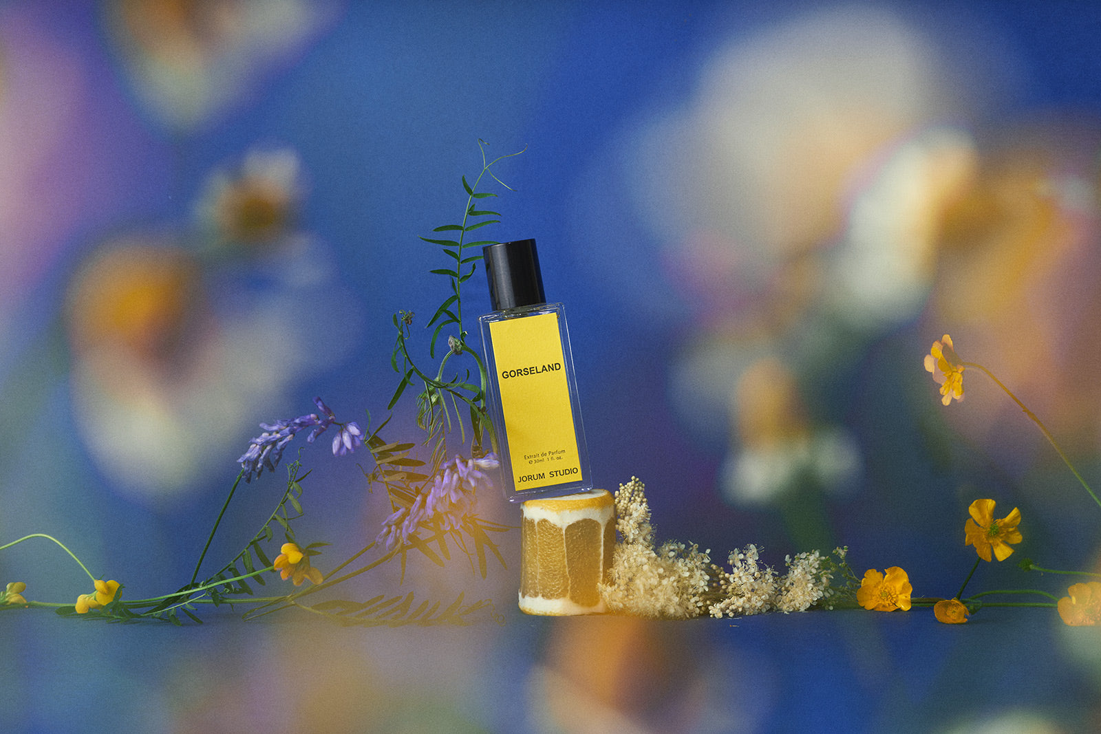 Jorum Studio Gorseland perfume with yellow label arranged on a lemon slice with wildflowers surrounding and a blue background by Gabriela Silveira