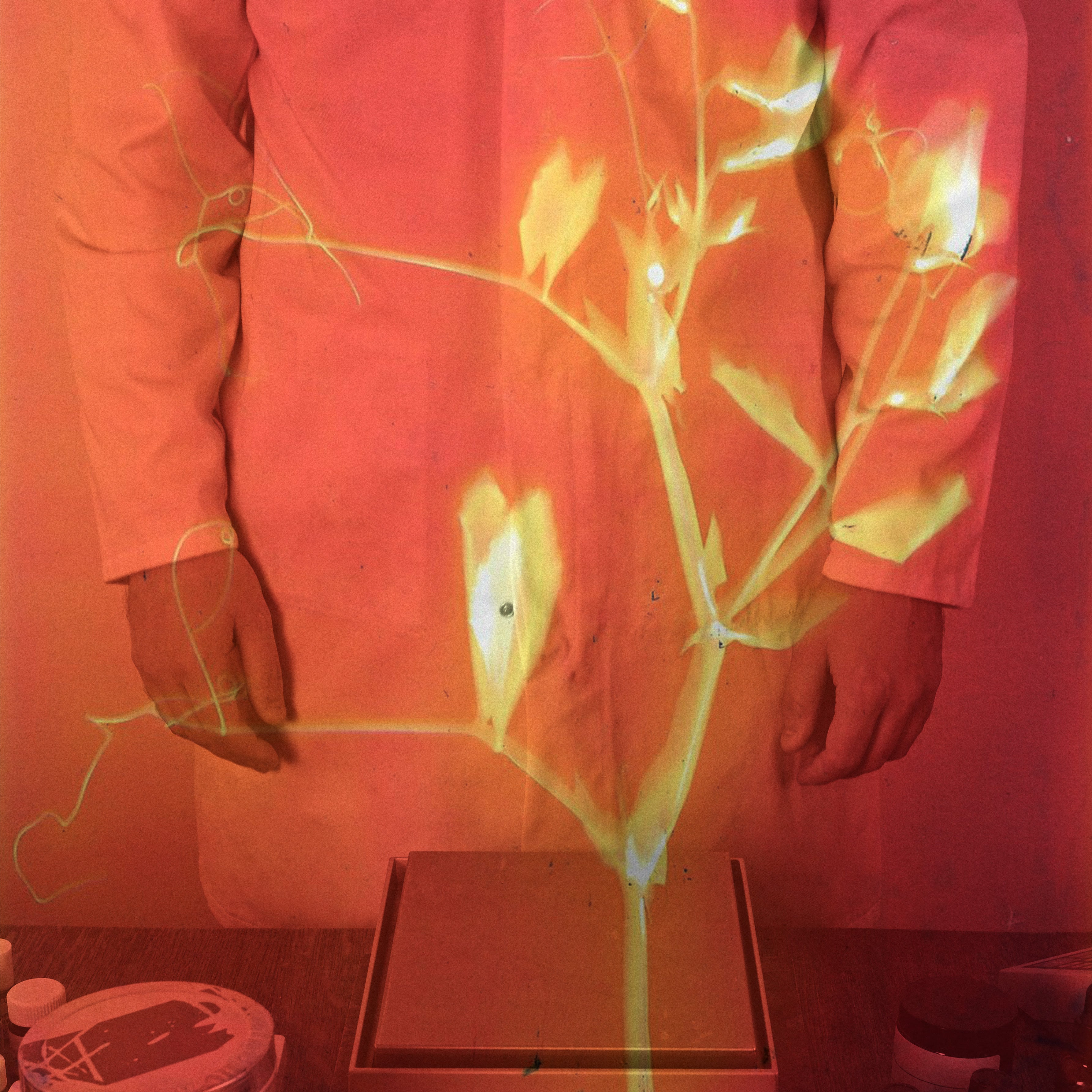 Perfumer in white lab coat image overlaid with orange botanical lumen print