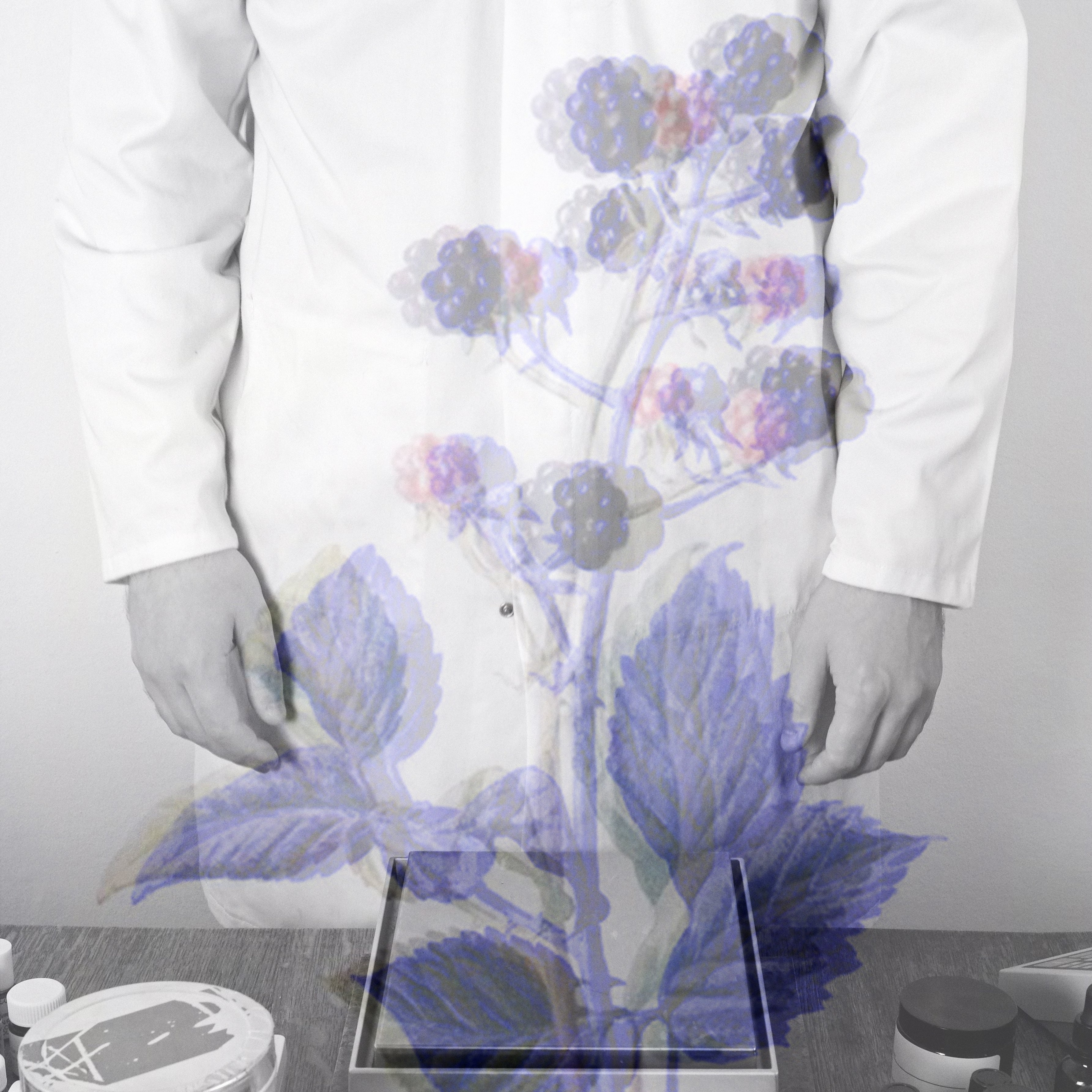 Perfumer in white lab coat overlaid with blackberry branches