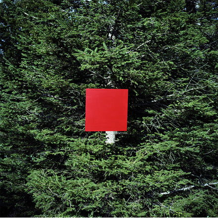 Marion Kowalski artwork Red Square overlaid on photograph of pine tree foliage