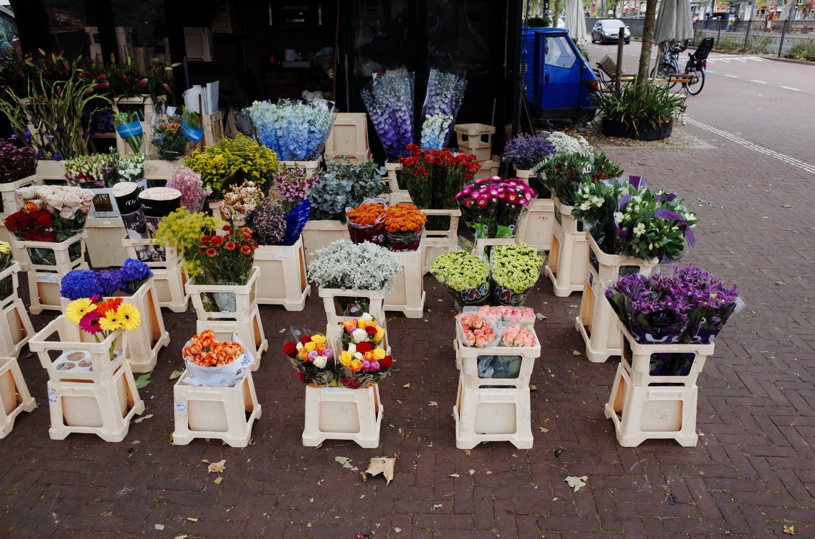 Amsterdam flower market selling colourful tulips