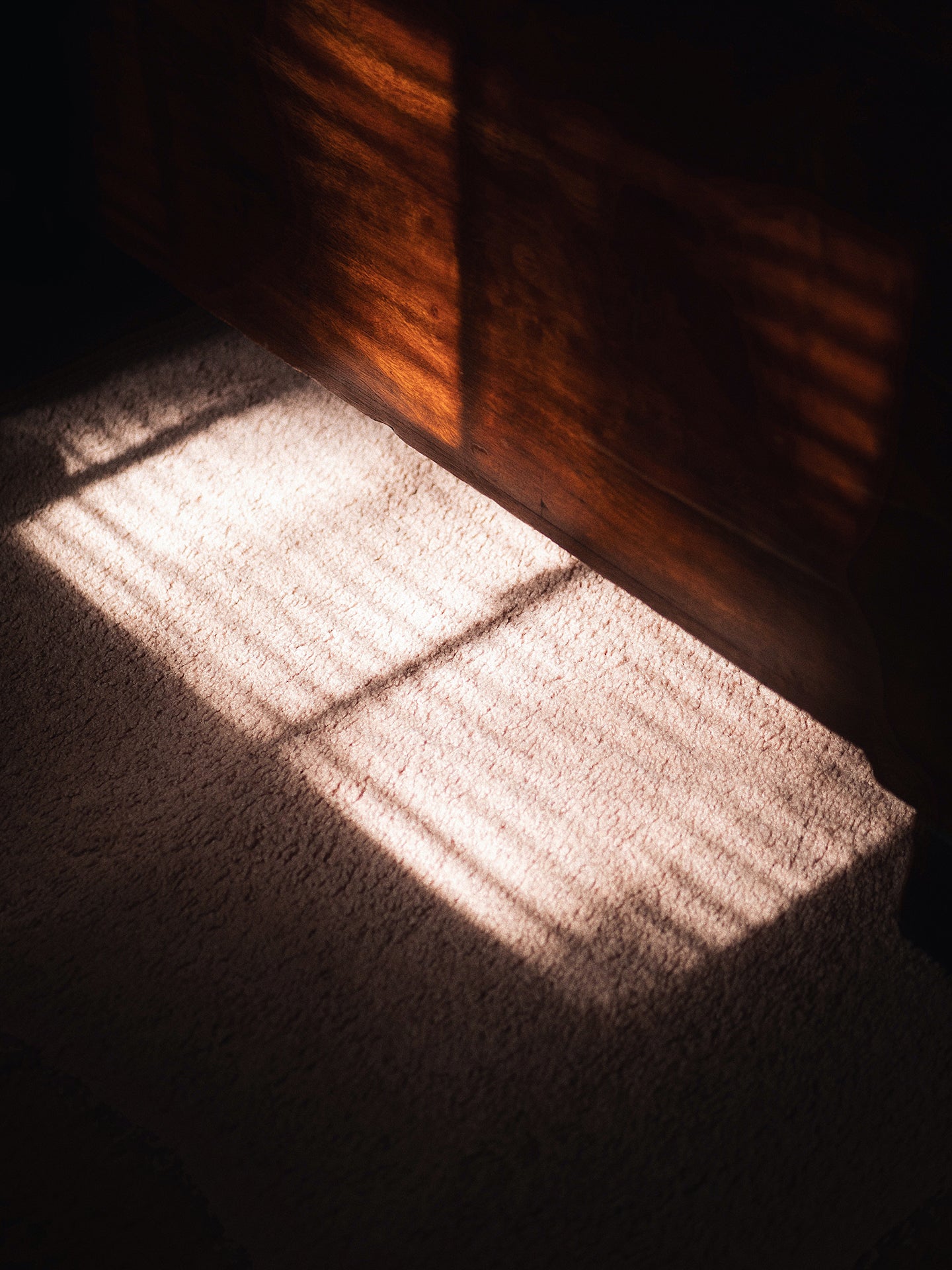 Jorum Studio Trimerous Sunlight on Carpet