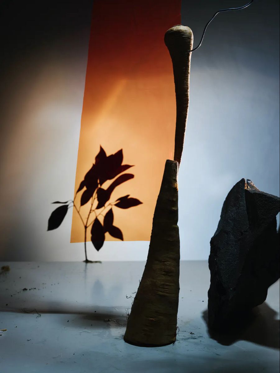 Jorum Studio Pentimento Visual Journey abstract photograph still life with parsnip and stone, and shadow of leaves on orange paper