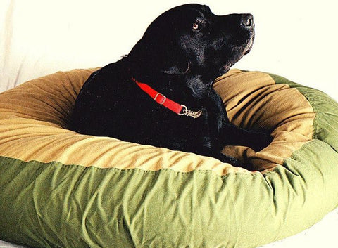 picture of black labrador on green comforting dog bed