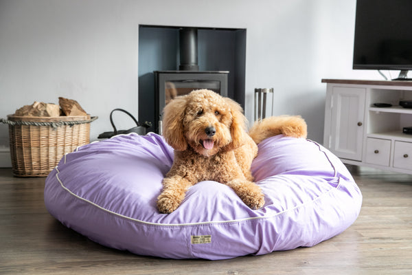 sustainable dog bed