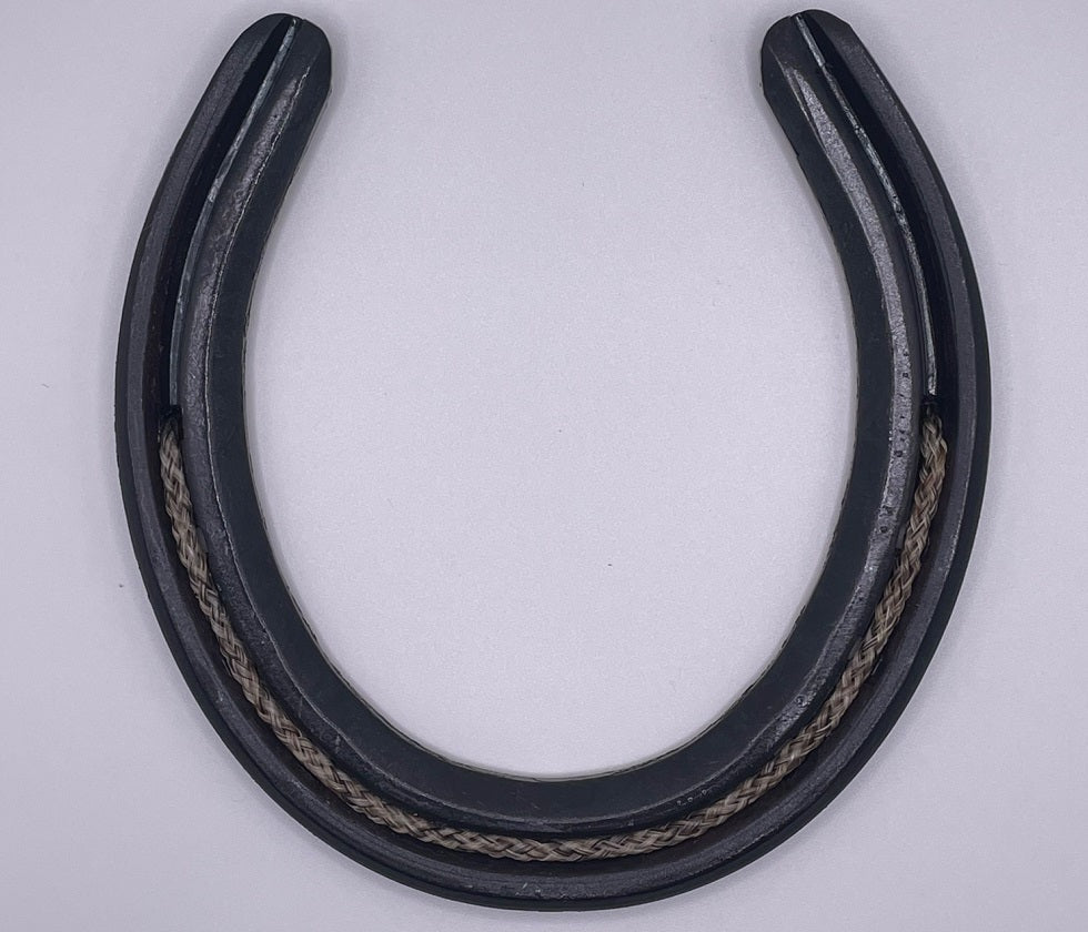Horseshoe for Shadowbox or Hanger