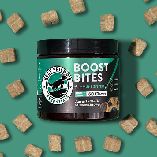 Boost Bites - Best Friends Essentials product image