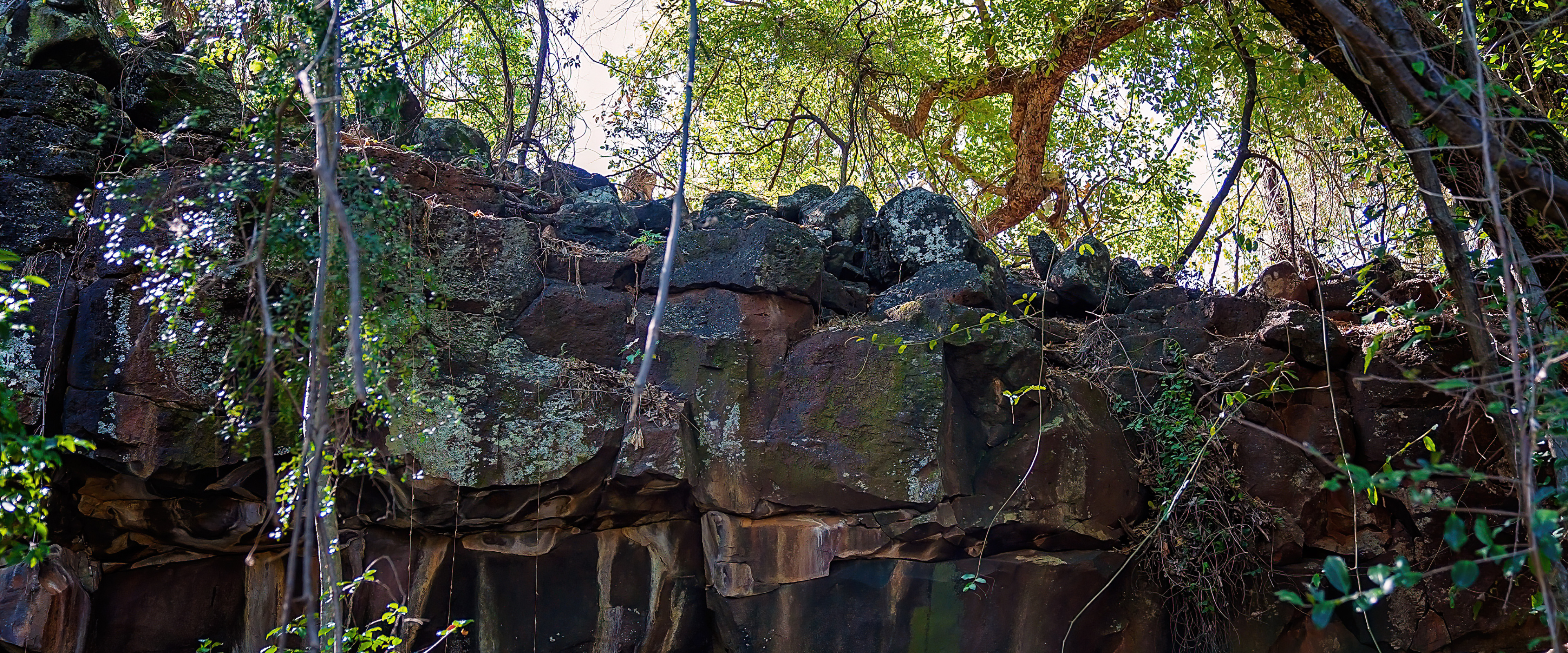 Undara Lava Tubes