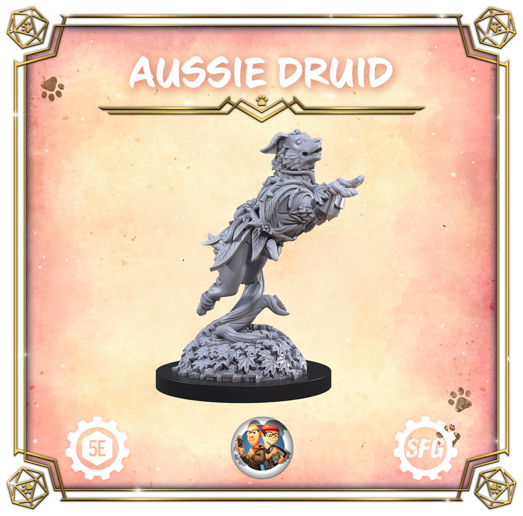 AA TFS Aussie Druid