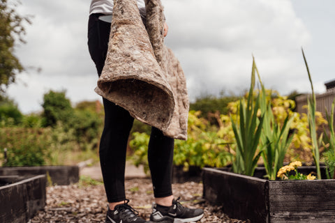 a gardener about to place a Hortiwool Garden Pad over young plants