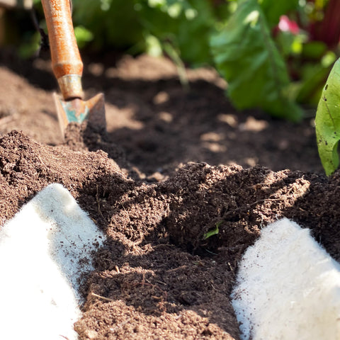 Digging Hortiwool into soil 