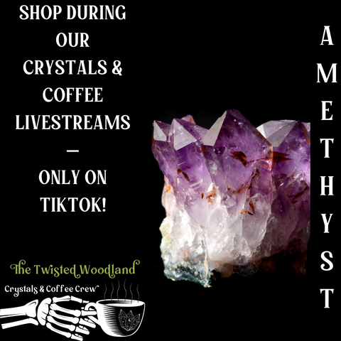 Shop for amethyst crystals with The Twisted Woodland
