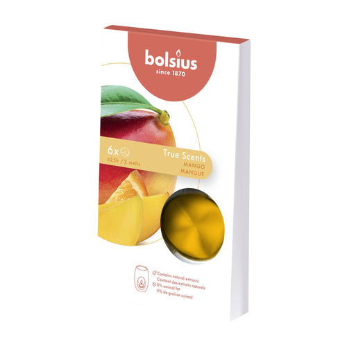 Bolsius True Scents Wax Melts Refills, Pack of 6 - Apple Cinnamon