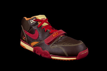 NIKE AIR TRAINER 1 SB