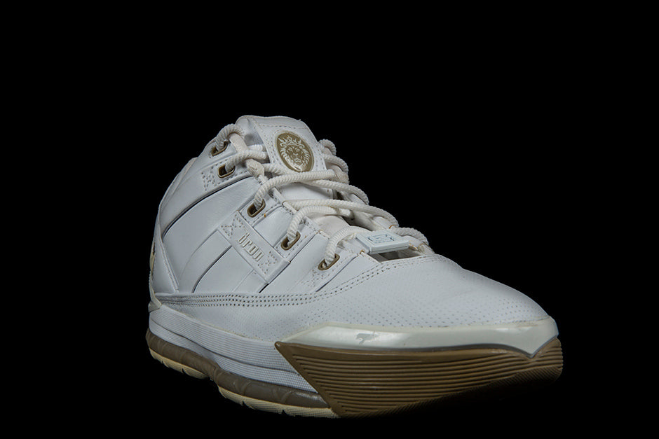 NIKE ZOOM LEBRON III LOW