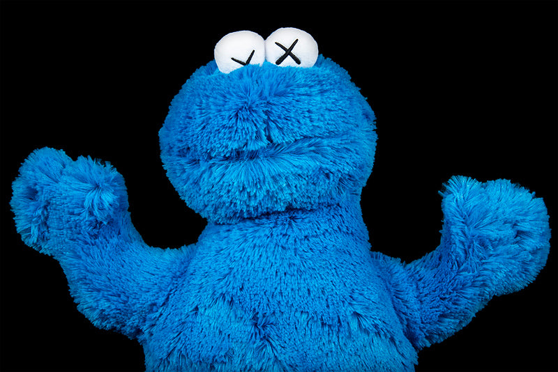 KAWS SESAME STREET UNIQLO COOKIE MONSTER PLUSH TOY