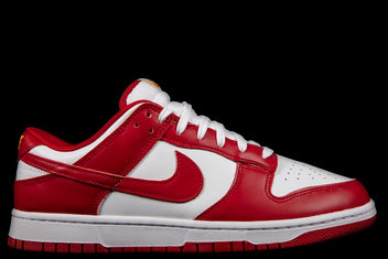 NIKE DUNK LOW RETRO